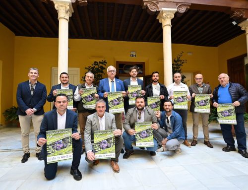 Presentada la `Copa Diputación de Granada 2025´